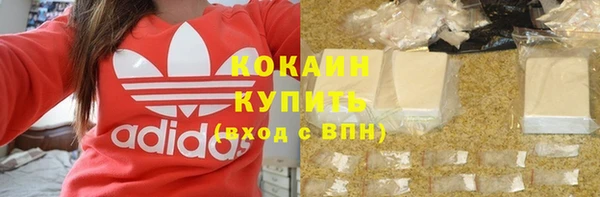 ПСИЛОЦИБИНОВЫЕ ГРИБЫ Баксан