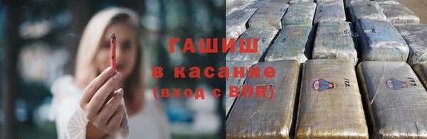 прущие грибы Белоозёрский