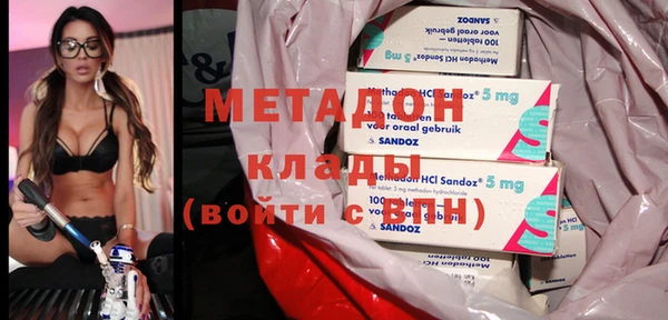 прущие грибы Белоозёрский