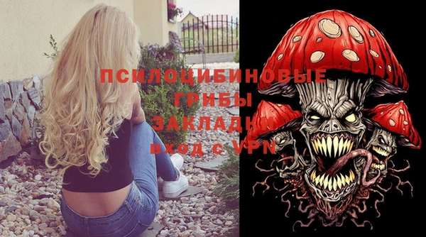 ПСИЛОЦИБИНОВЫЕ ГРИБЫ Баксан