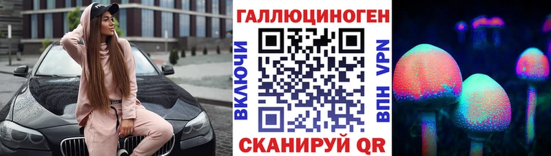 Купить  Шадринск  Галлюциногенные грибы Psilocybe 